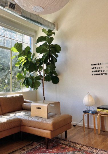 The office lounge with our values on the wall